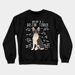 Boston Terrier Dog Anatomy Crewneck Sweatshirt